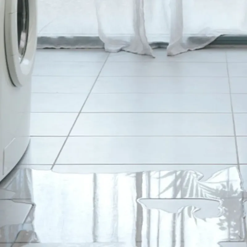 Appliance Leak Cleanup in Greenville, AL